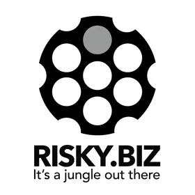img_RISK BIZ