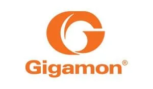 Gigamon
